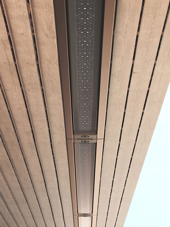 Linealuce 27