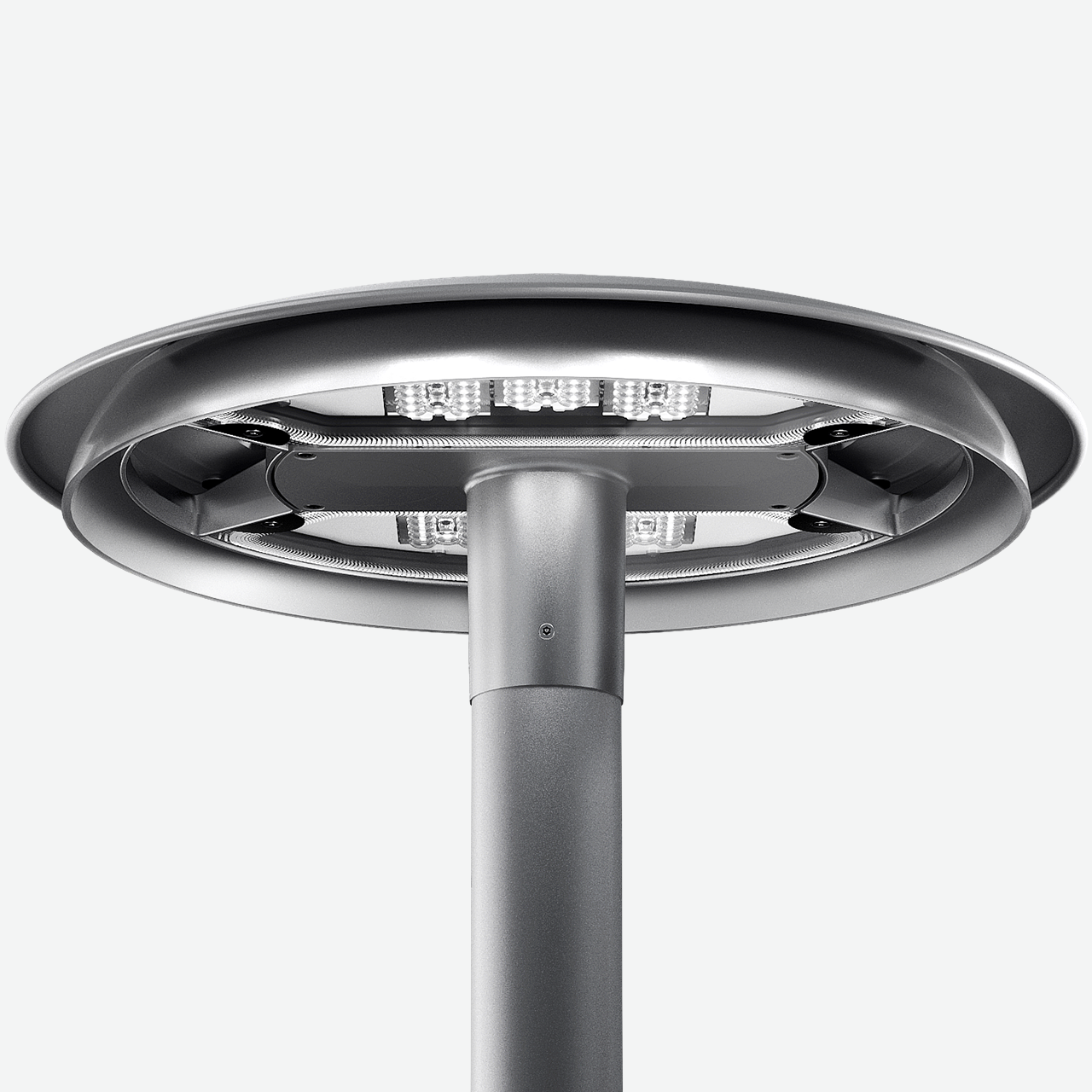 Twilight Calgary su palo