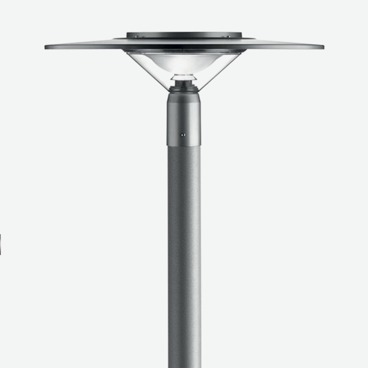 Twilight Canberra su palo