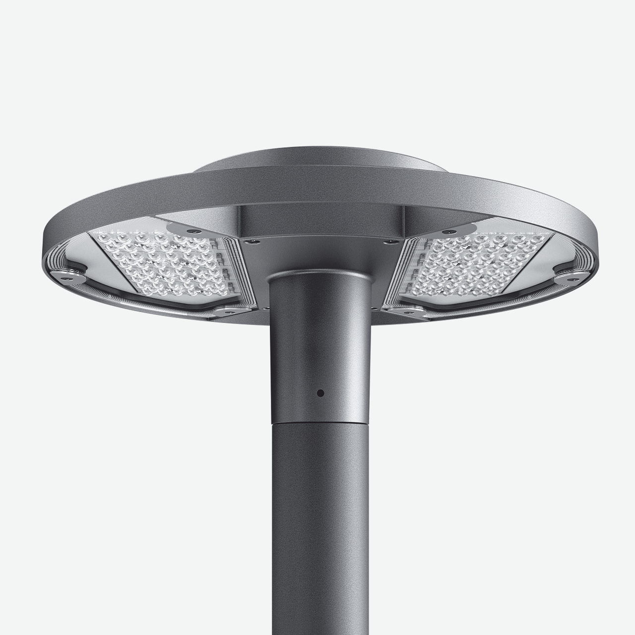 Twilight Copenhagen su palo