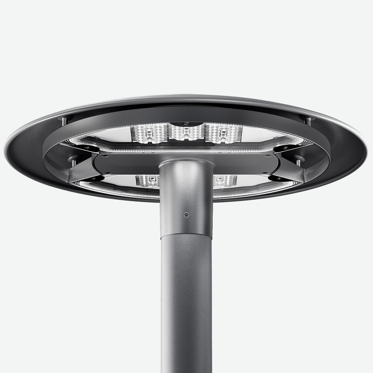 Twilight Kyoto su palo