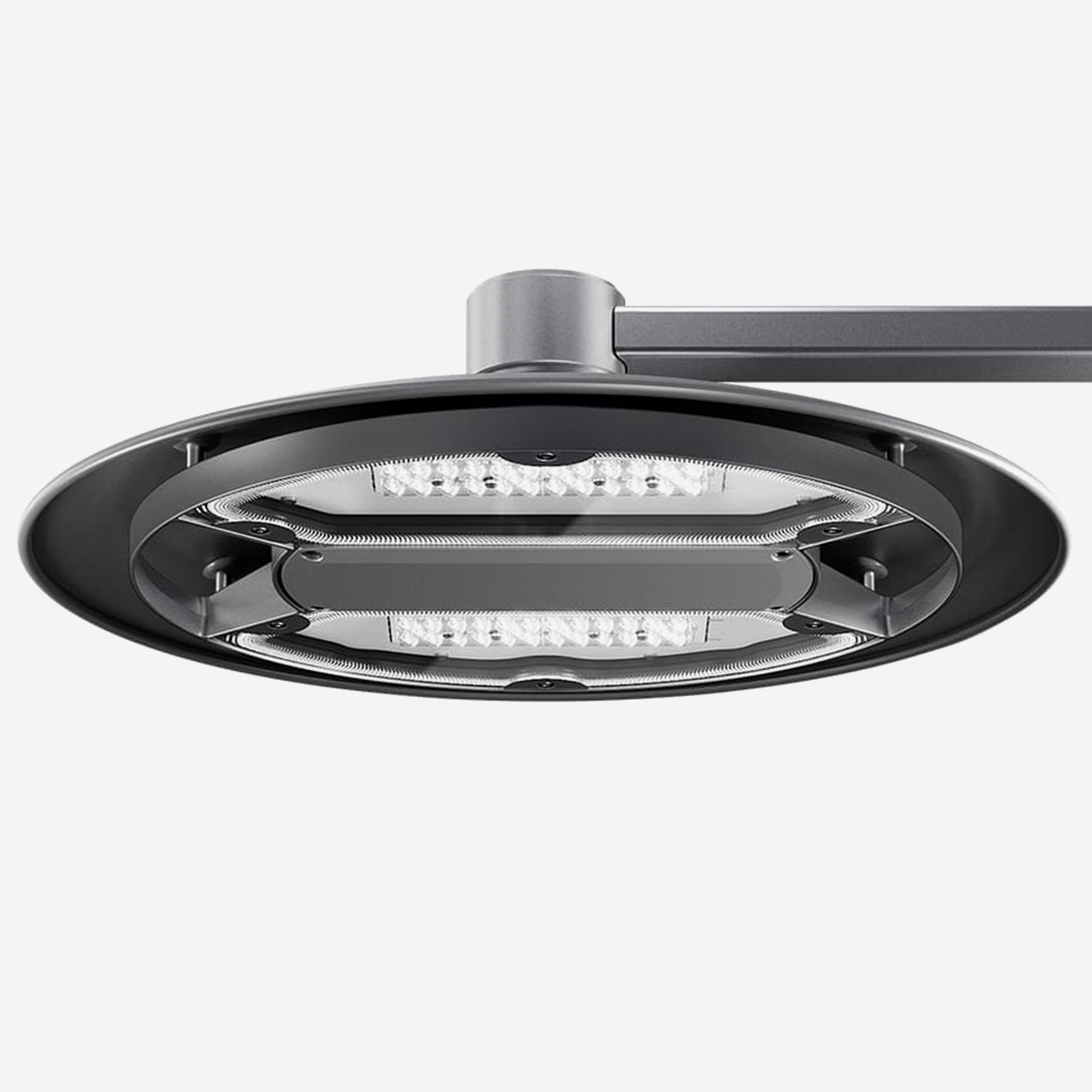 Twilight Kyoto a parete