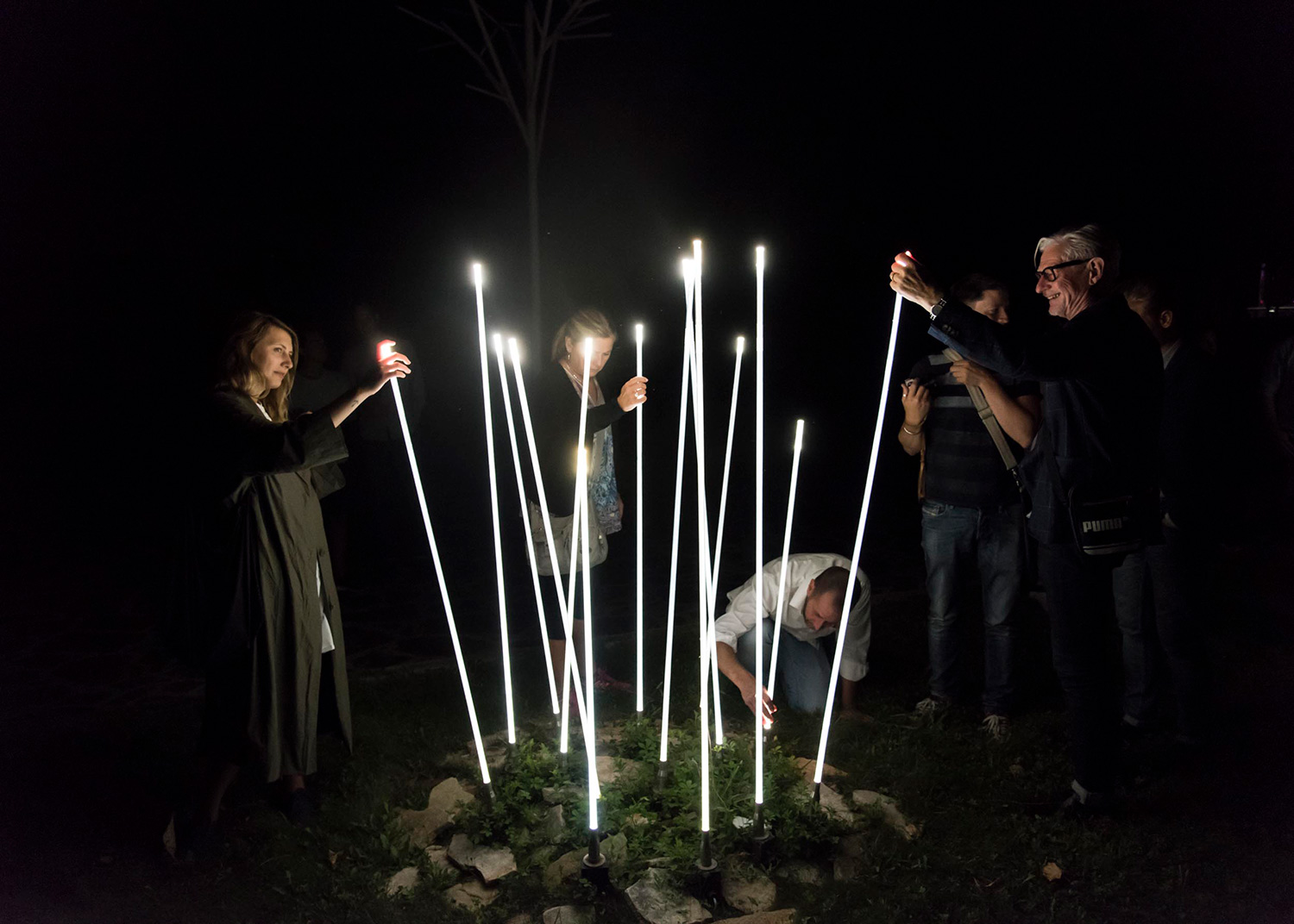 Typha_Inspiration_DSC8536.jpg